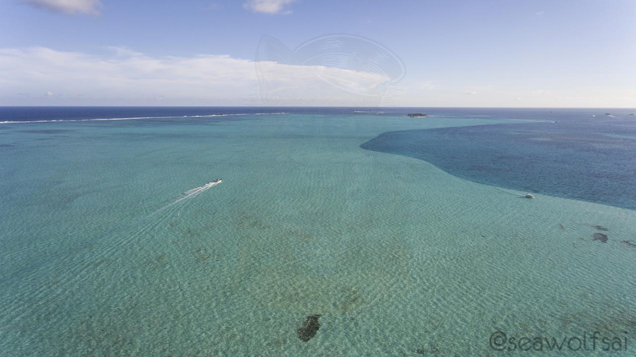 Sea Wolf Apartments San Andrés 外观 照片